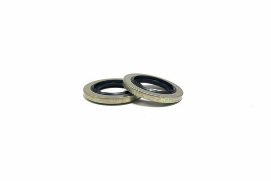 BS1/4 BSP