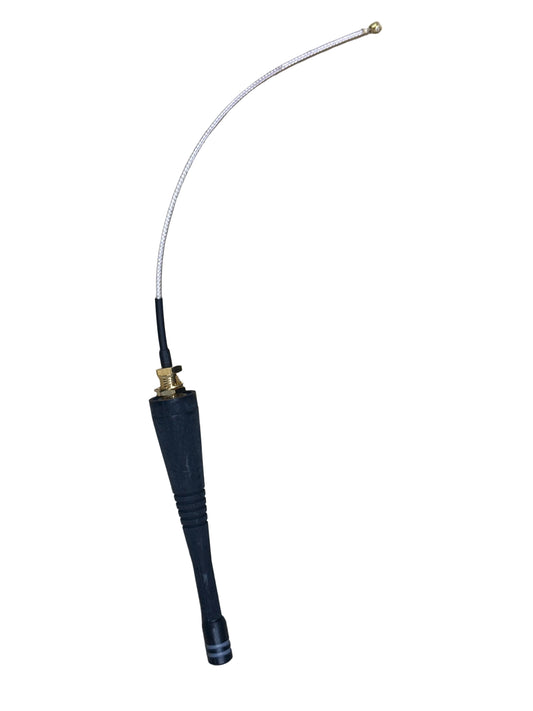 LW50000061